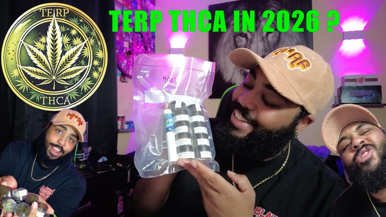 Возвращение к Terp THCA: возвращение к оригинальному бренду, с которого все началось! 🌿🔥