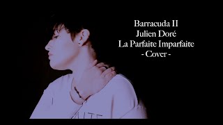 Julien Doré - Barracuda II - La Parfaite Imparfaite