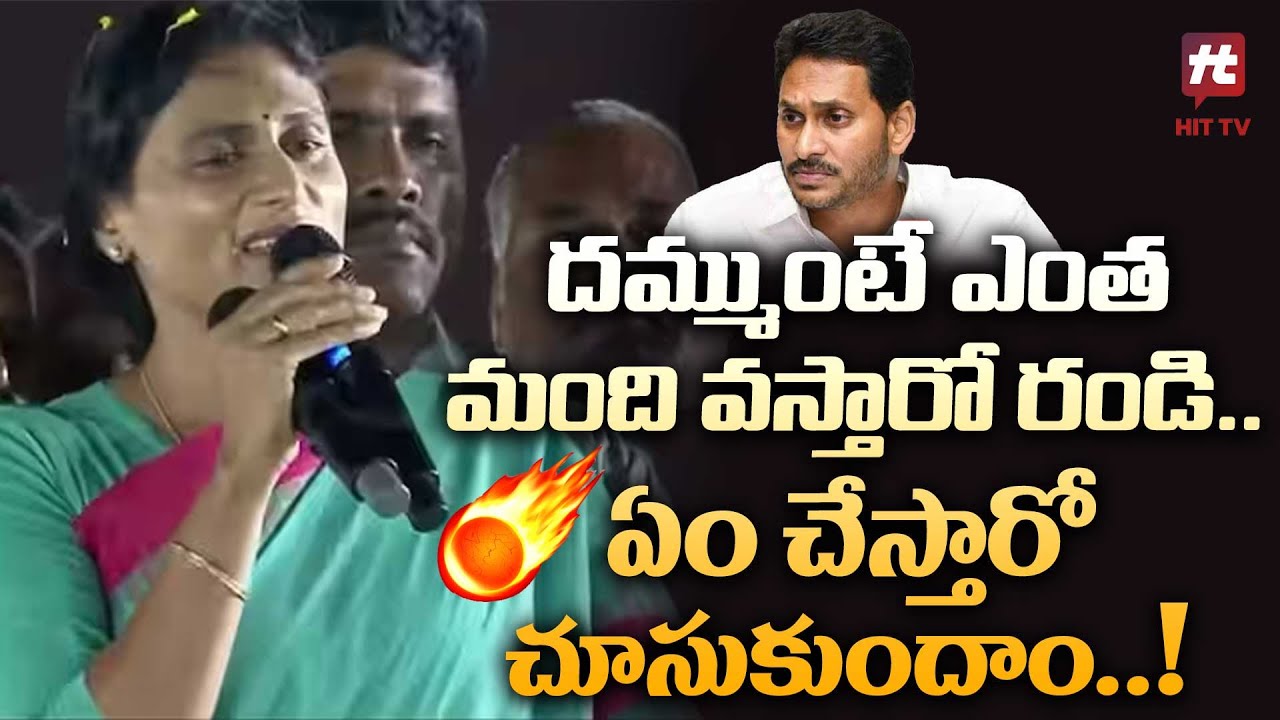 ఎంత మంది వస్తారో రండిరా..! | YS Sharmila Mass Warning To Ys Jagan 