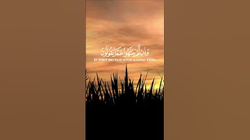 سورة المائدة الآية 73 بصوت القارئ محمد الفقيه