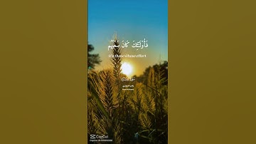 سورة الاسراء#القرآن_الكريم#السعودية#الجزائر#المغرب#short