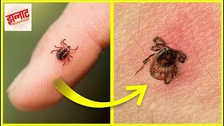 जानवर जिनके पास है चौंकाने वाली असली सुपर पावर | Animals With Real Superpowers जानवर जिनके पास है चौंकाने वाली असली सुपर पावर | Animals With Real Superpowers