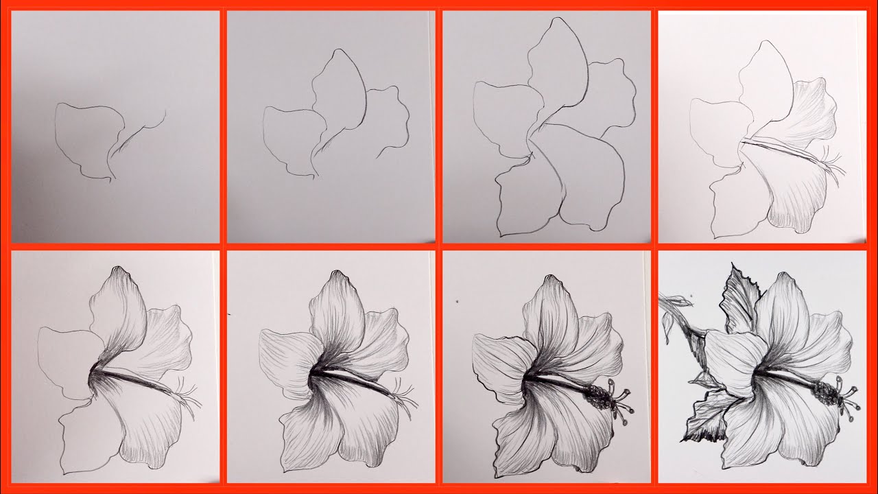 drawing, easy flower drawing, how to draw a flower: step by step, drawing.....