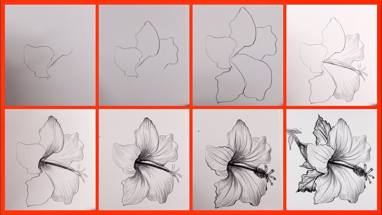 drawing, easy flower drawing, how to draw a flower: step by step, drawing f...