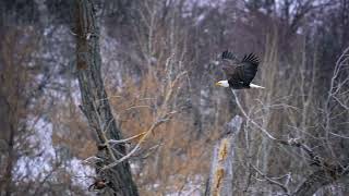 A Winter Journey Through Catharine Valley’s Natural Beauty