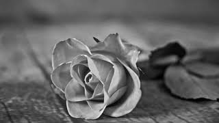 Watch Casely Ill Be video