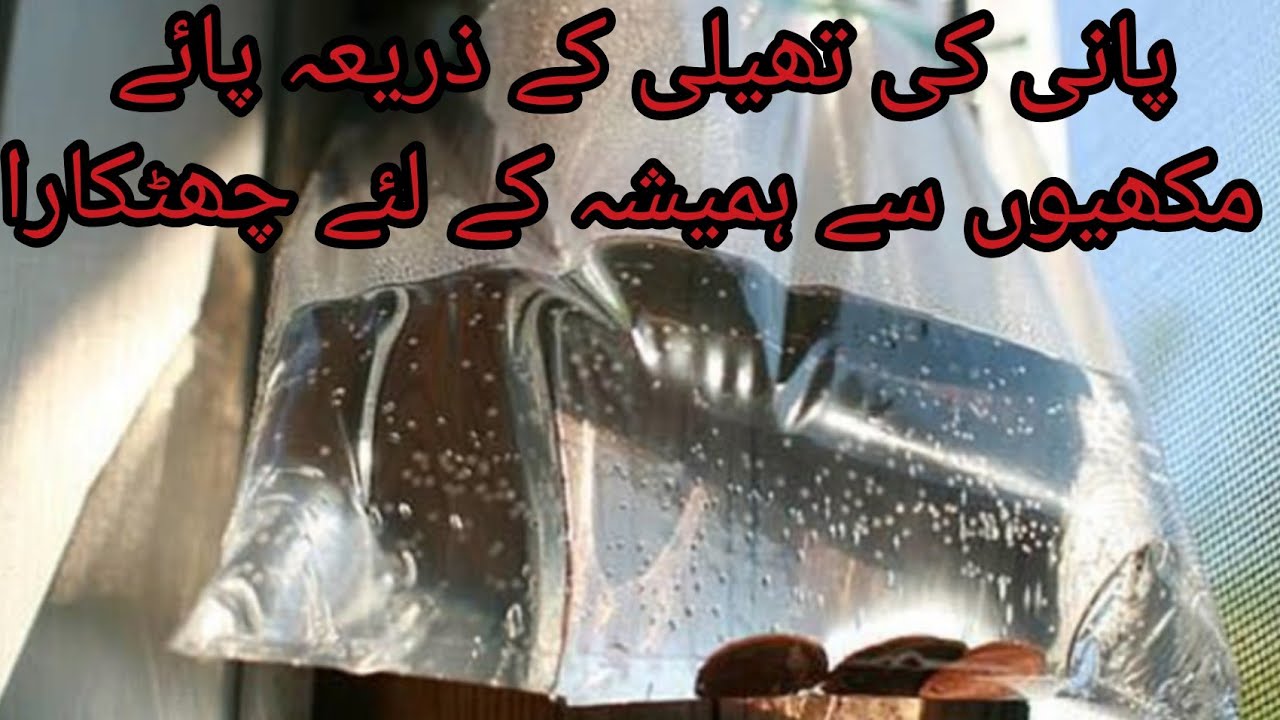 Ghar Sy Makhiyan Bhagany K Asan Totky How To Get Rid Of Flies In The 