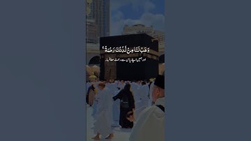 سورة آل عمران: رَبَّنَا لا تُزِغْ قُلُوبَنَا بَعْدَ إِذْ هَدَيْتَنَا | تلاوة هادئة تريح النفس