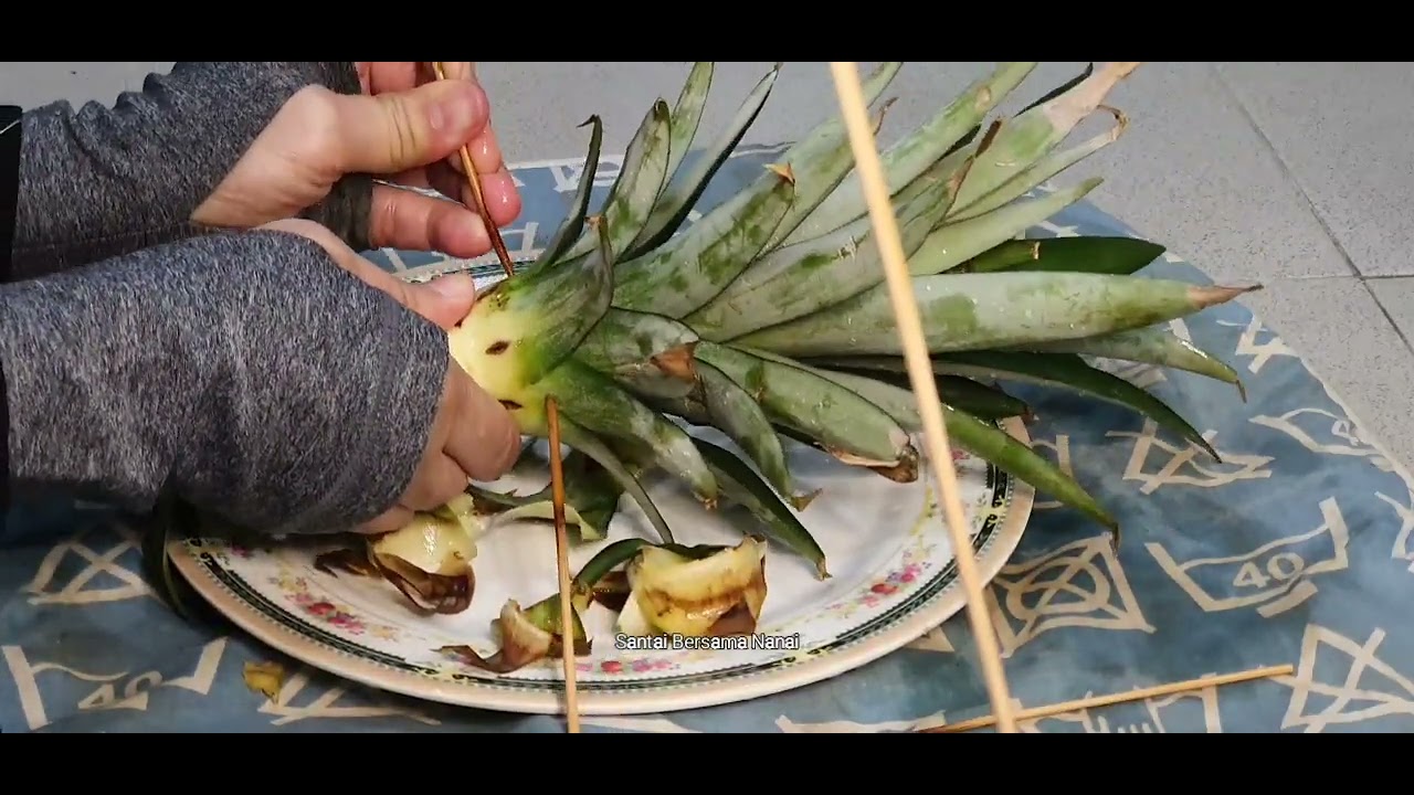 Mencuba tanam nanas dari mahkotanya (Attempt to plant pineapple from