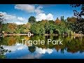 Tilgate park sussex uk  autumn 