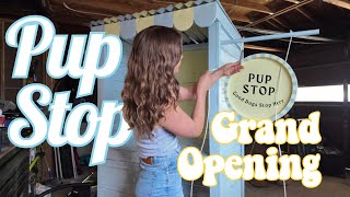 We built a DIY Farm Stand For Dogs! Our NEW Pup Stop for Neighborhood Dogs + Final Reveal