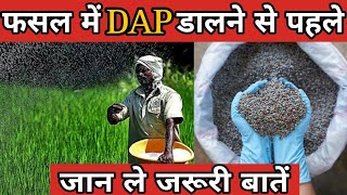Dap Fertilizer खत म Dap डलत समय कय गलत करत ह कसन Dap Fertilizer कब और कस डल