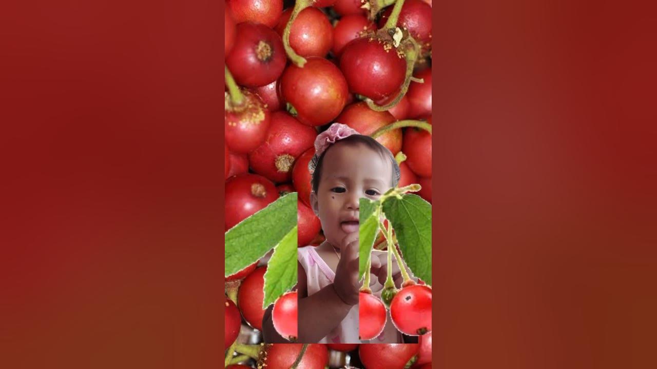 Alateris or Cherry? - YouTube