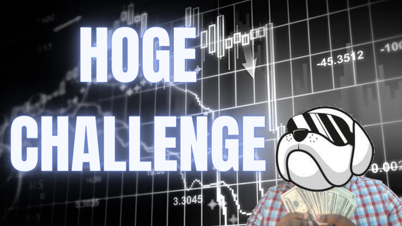 HOGE FINANCE CHALLENGE
