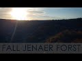 FALL JENAER FORST | GERMANY