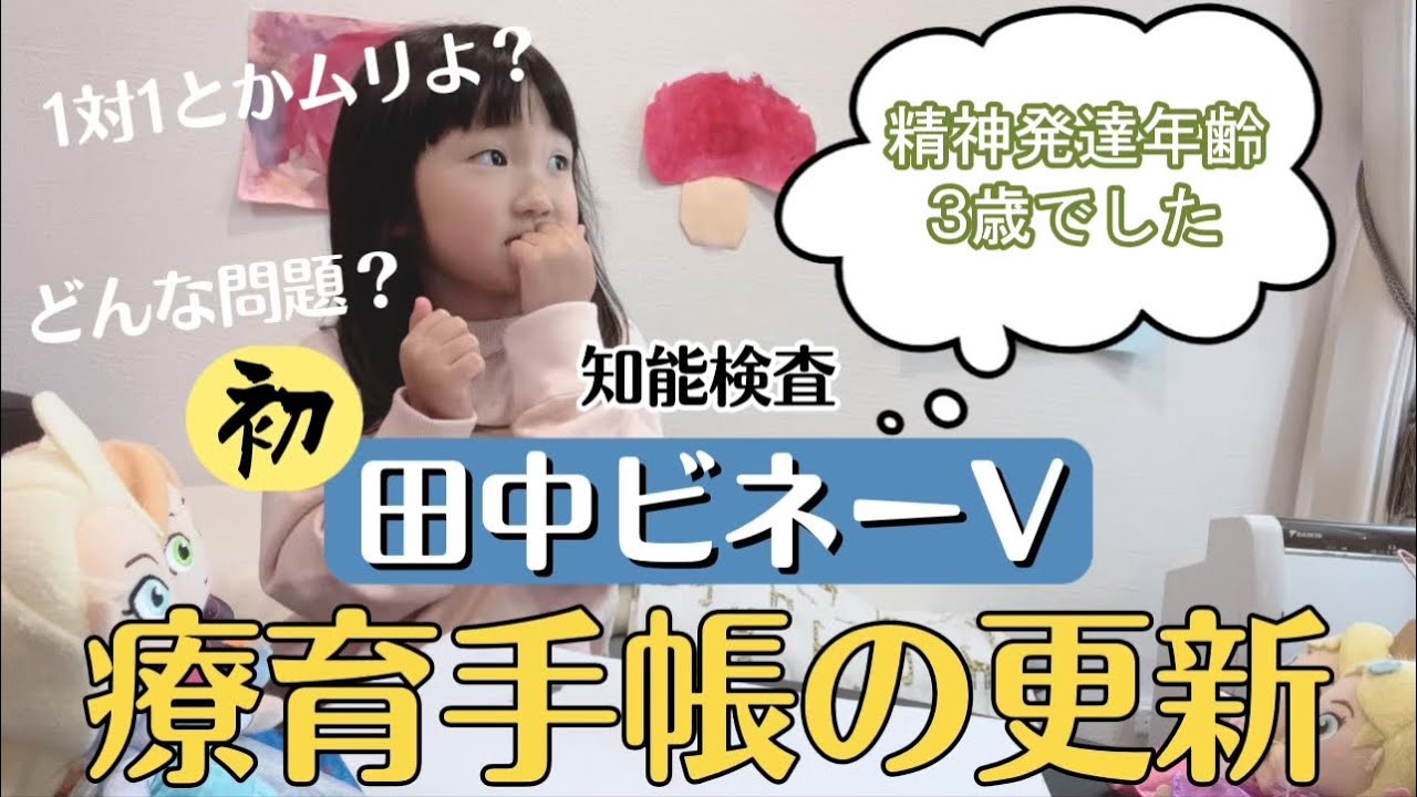 5歳発達検査の結果【田中ビネーV】自閉症・軽度知的障害［療育手帳］