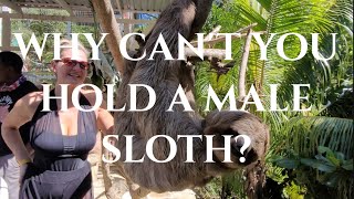 Sloths and Monkeys and More in Roatan Honduras at Jungle Top ...