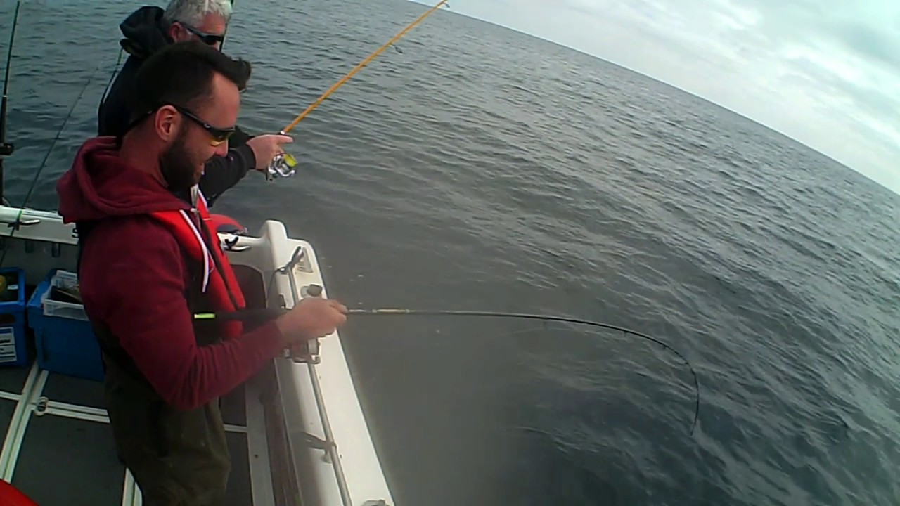 Cork Harbour sea fishing YouTube