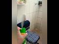 Organizando e Limpando meu banheiro...✨🧹🚽#fyp #funny #shorts #shortsfeed #shortsvideo