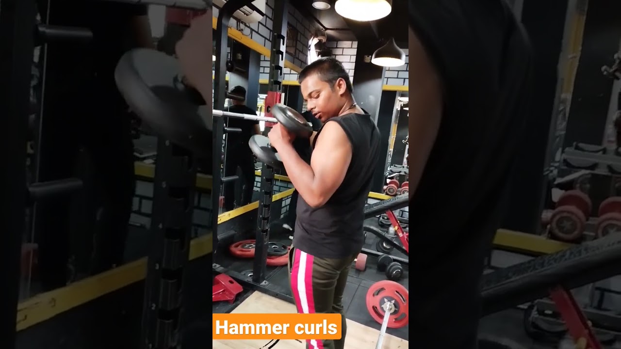 hammer curls for biceps in gym