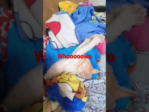 whooooowaaaa