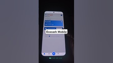 The Ecocash mobile app : Very convenient way of using ecocash #ecocash #fyp #viralvideo #zimbabwe