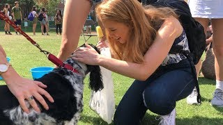 Pups and Pops at Vanderbilt