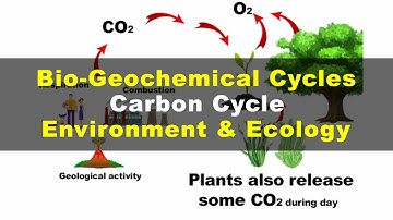 What is Carbon Cycle | Environment & Ecology