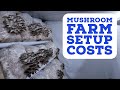 What Does It Really Cost to Setup a Mushroom Farm?