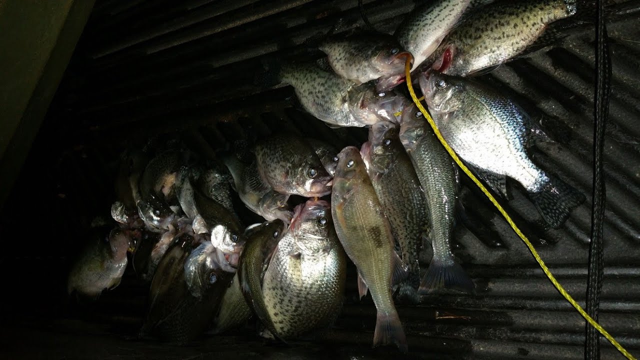 Limit out Crappies on Lake Norman YouTube