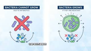 Q-AST: Quick Antimicrobial Susceptibility Test