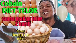 Luarbiasa!!Inilah Manfaat Sarapan Telur Rebus Setiap Pagi