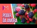 O poder da amora - Mulheres (08/10/2018)