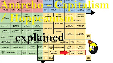 Anarcho - Capitalism / Hoppeanism explained