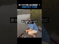 泳いでまで飼い主を逆指名!?奇跡の茶トラ子猫