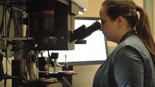 A Day Inside the R.I. Crime Lab