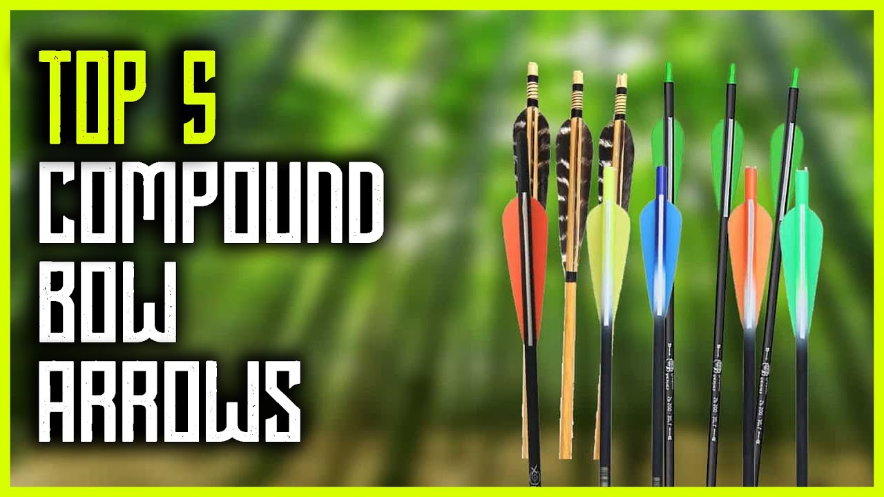 Best Arrows for Compound Bow Top 5 Arrows for 70lb Compound Bow in 2023 YouTube