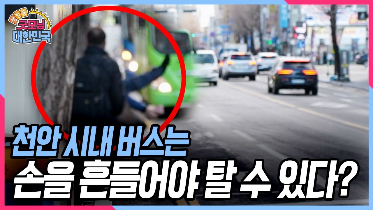 버스 정류장에서 손을 흔들지 않으면 그냥 가버리는 버스! 천안 시내 버스는 왜 이렇게 되었을까? [굿모닝 대한민국] KBS 260306 방송