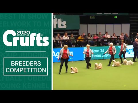 Breeders Competition Final | Crufts 2020