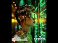 Techno House Electronic Vibes