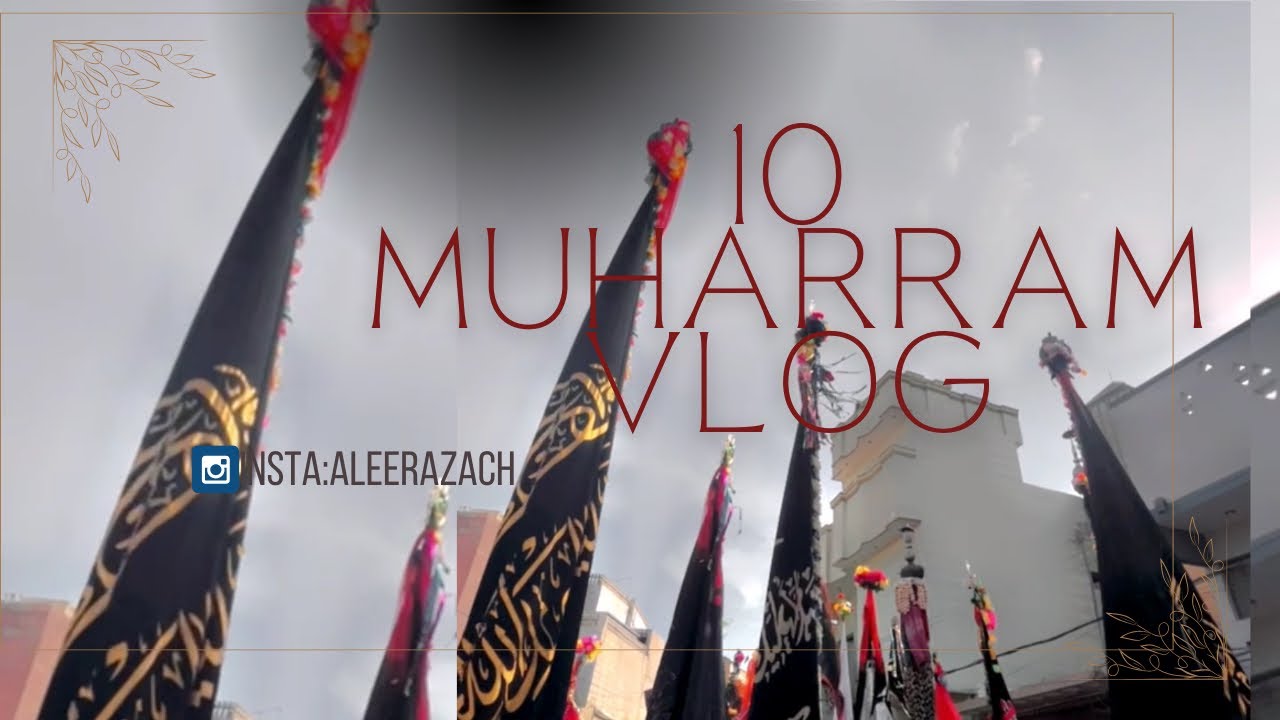 10 Muharram Vlog-Sabeel e Moula Hussain,Matmi Juloos Dadu