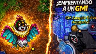 CONFRONTAMOS A UN GM Y CONSEGUÍ MEGA HAWLUCHA | Pokémon