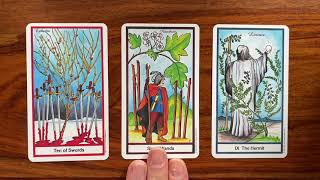 Universal Healing 8 February 2021 Your Daily Tarot Reading with Gregory Scott