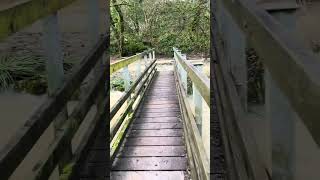 Vallis Vale 2 Days After Storm Henk Pt Iii