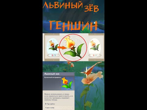 Львиный Зев Геншин, где найти и взять Зёв за полминуты 9 шт? #shorts #львиныйзев #геншин #гайд