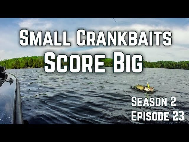 The Art of Fishing DEEP Diving Crankbaits for MUSKIES! S3.E25 