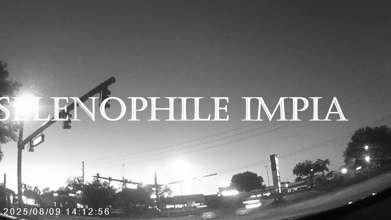 HEADBANGING ON THE ROAD - OUIJA - Selenophile Impia