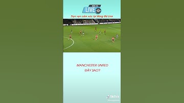 bóng đá tiệt chứ⚽⚽⚽⚽🥅🥅🥅