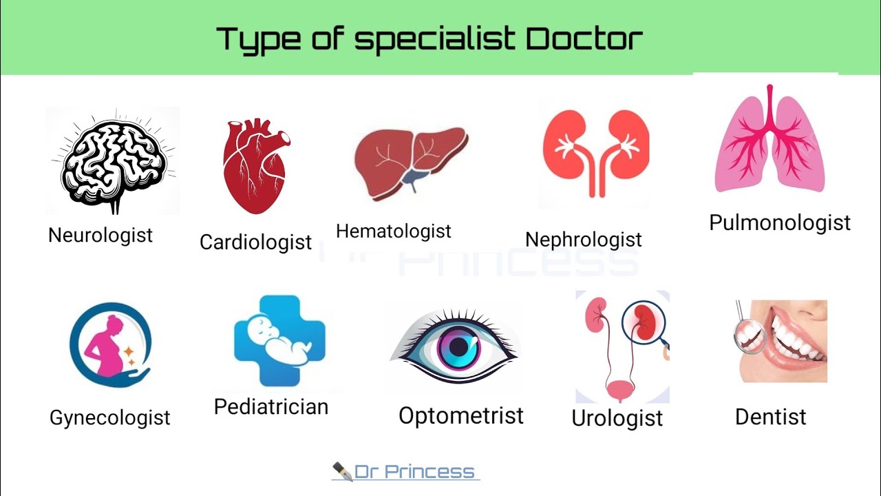 Type of specialist doctor ll Dr Princess ll