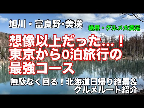 【ドライブ】日帰り北海道旅行（旭川・美瑛・富良野）無駄なく自然・食べ物を満喫できるコースを紹介します。自然・食べ物に大満足・感動の一日。